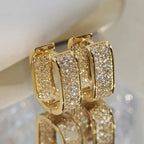Aros Pavelina Estilo Huggie